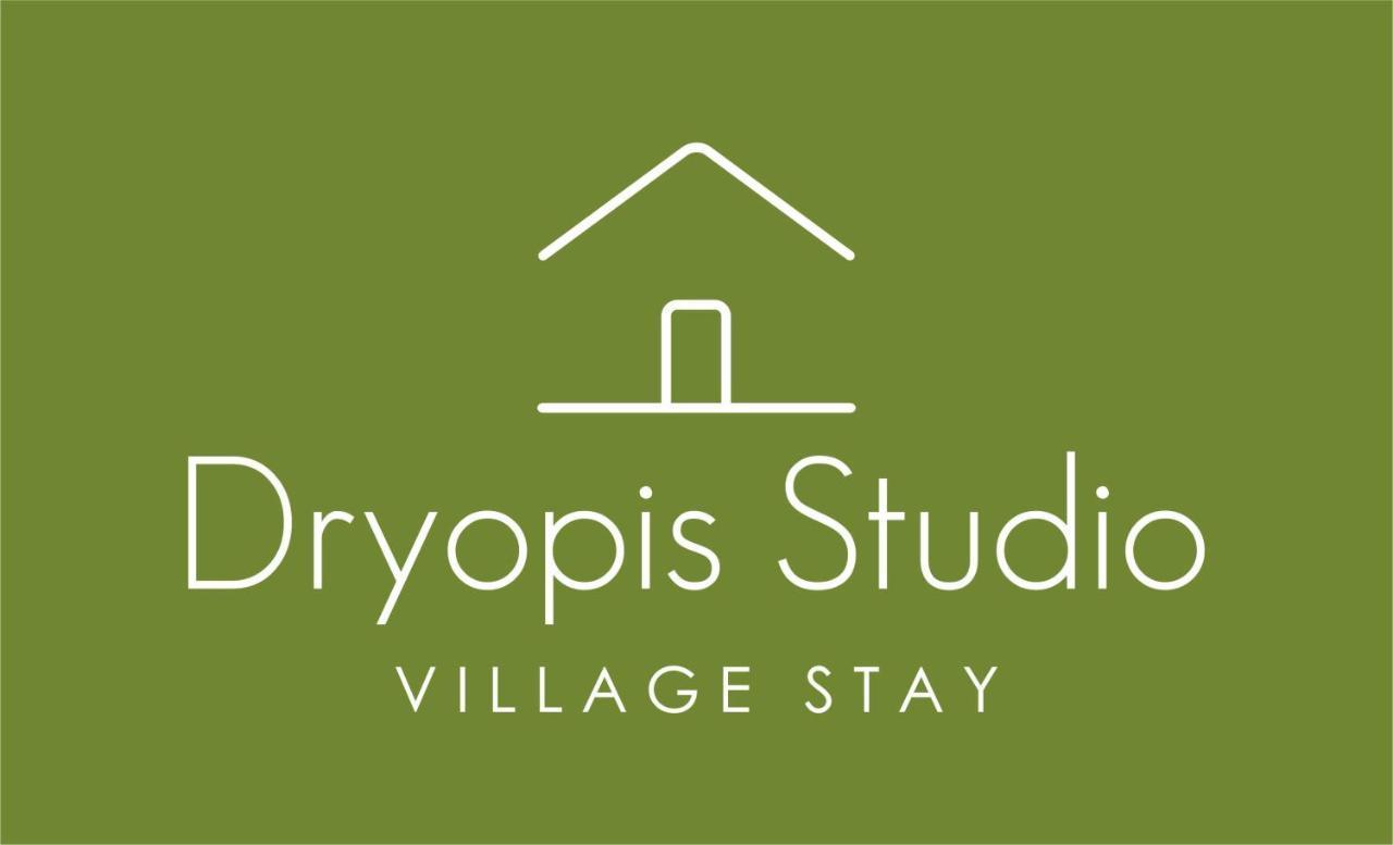 Dryopis Studio Dhriopis Екстер'єр фото